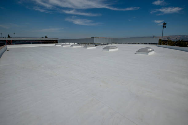 Best Gutter Installation and Repair  in Pine Grove, CA