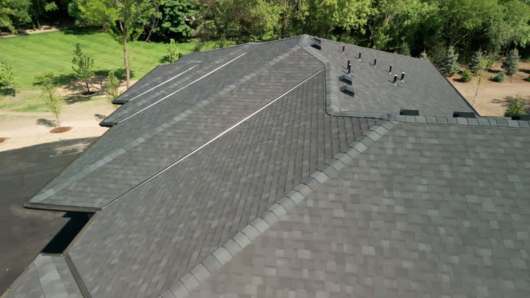Professional Roofing Service in Pine Grove, CA