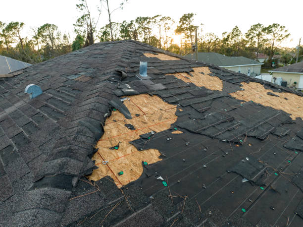 Best Roof Installation  in Pine Grove, CA