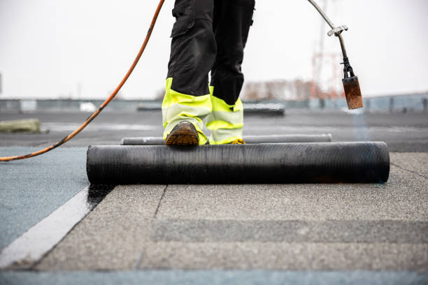 Best Asphalt Shingle Roofing  in Pine Grove, CA