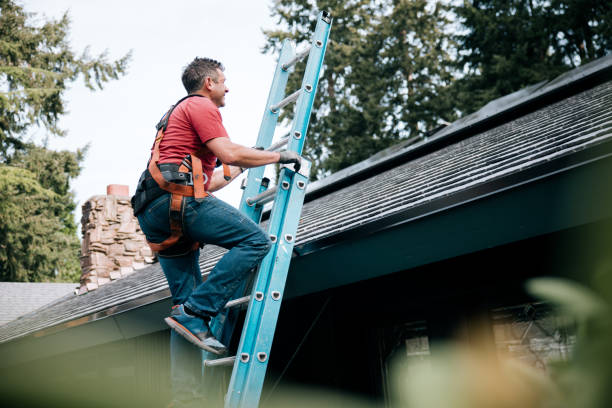 Best Green or Eco-Friendly Roofing Solutions  in Pine Grove, CA