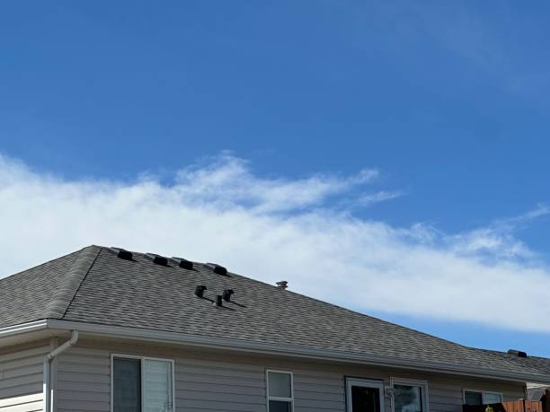 Best Roof Leak Repair  in Pine Grove, CA